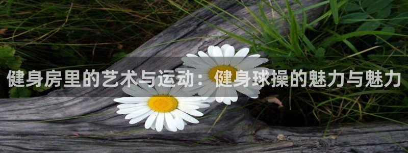 意昂2平台