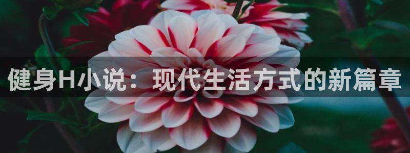 意昂2招商