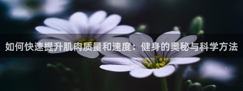 意昂2招商