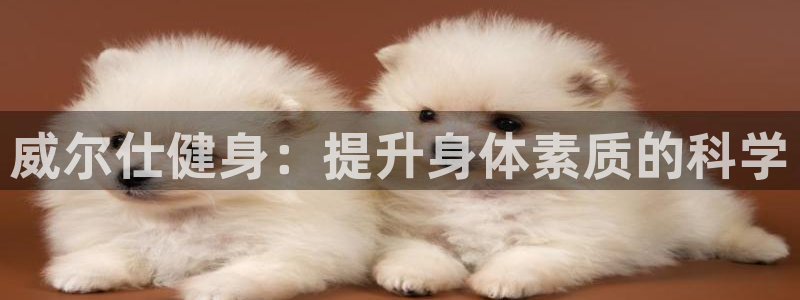 意昂2官网