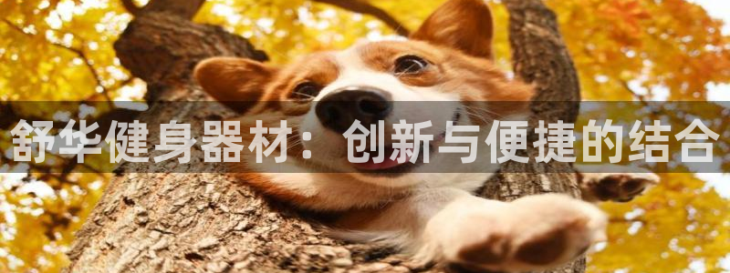 意昂2官方网站